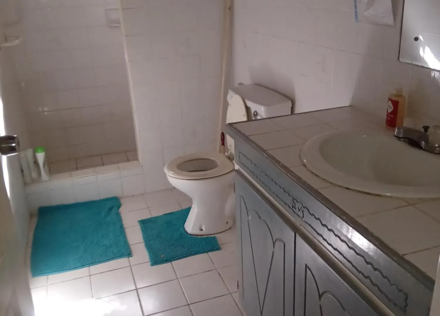 Chandler Homestay Saint Philip Barbados