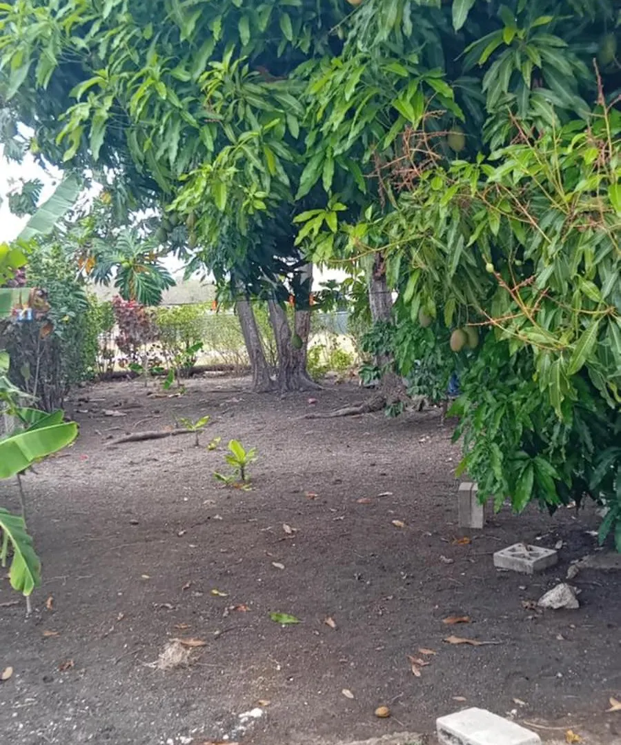 Chandler Homestay Saint Philip 0*,