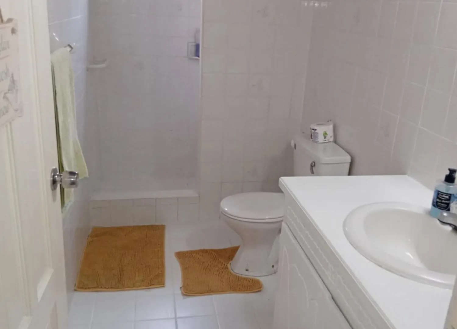 Chandler Homestay Saint Philip Barbados